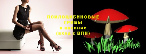 спайс Гусиноозёрск