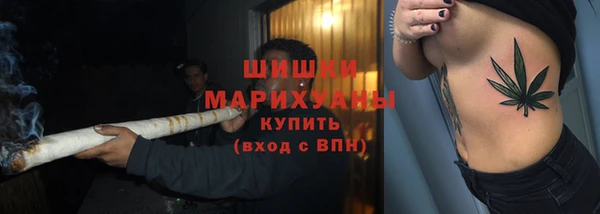 стаф Волосово