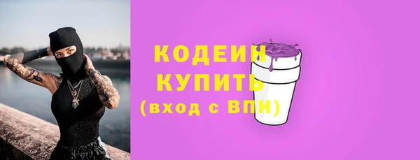 индика Володарск