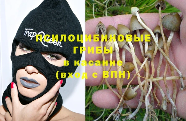 индика Володарск