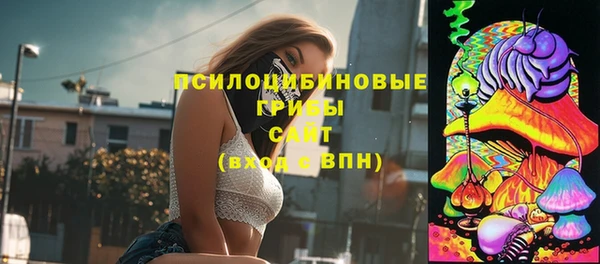 стаф Волосово